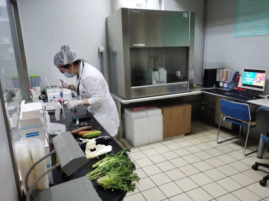 黄州食品检测实验室装修方案